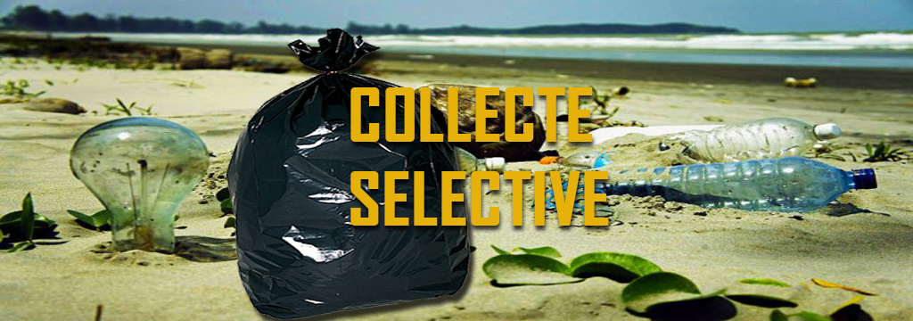 Collecte sélective